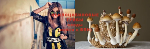 ECSTASY Магадан