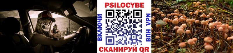 Галлюциногенные грибы Psilocybine cubensis  Юрюзань 